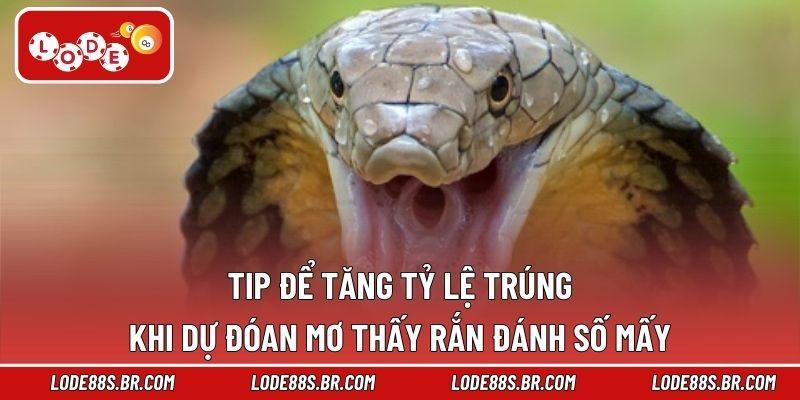 Tip để tăng tỷ lệ trúng khi dự đoán mơ thấy rắn đánh số mấy