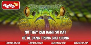 Mơ Thấy Rắn Đánh Số Mấy Để Dễ Dàng Trúng Giải Khủng